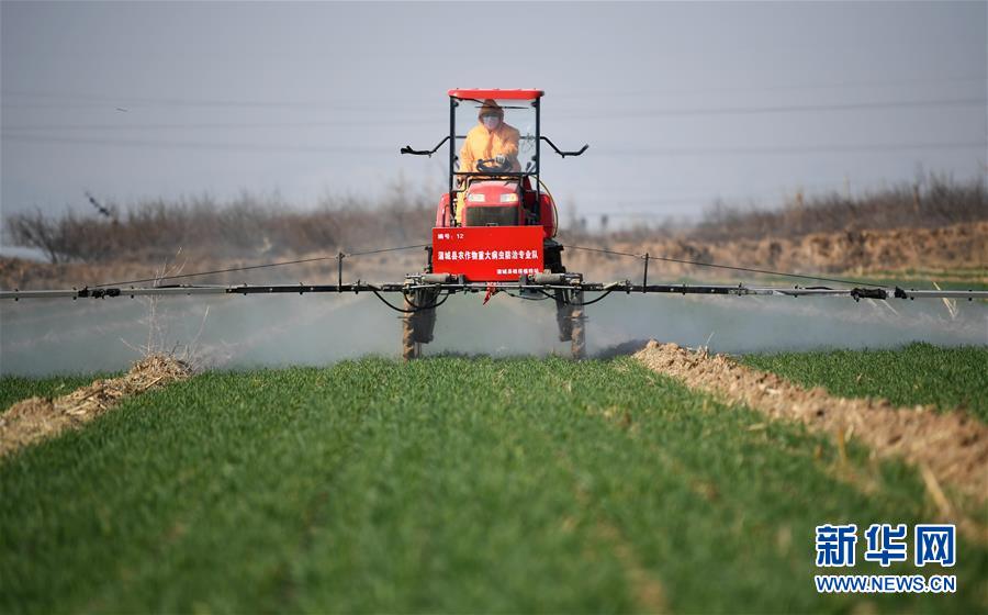 （新華全媒頭條&middot;圖文互動(dòng)）（9）春色最濃在田間&mdash;&mdash;來自全國春耕備耕的現(xiàn)場觀察