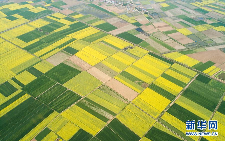 （新華全媒頭條&middot;圖文互動(dòng)）（6）在艱難中重啟 在陣痛中復(fù)蘇&mdash;&mdash;湖北推動(dòng)安全有序復(fù)工復(fù)產(chǎn)掃描