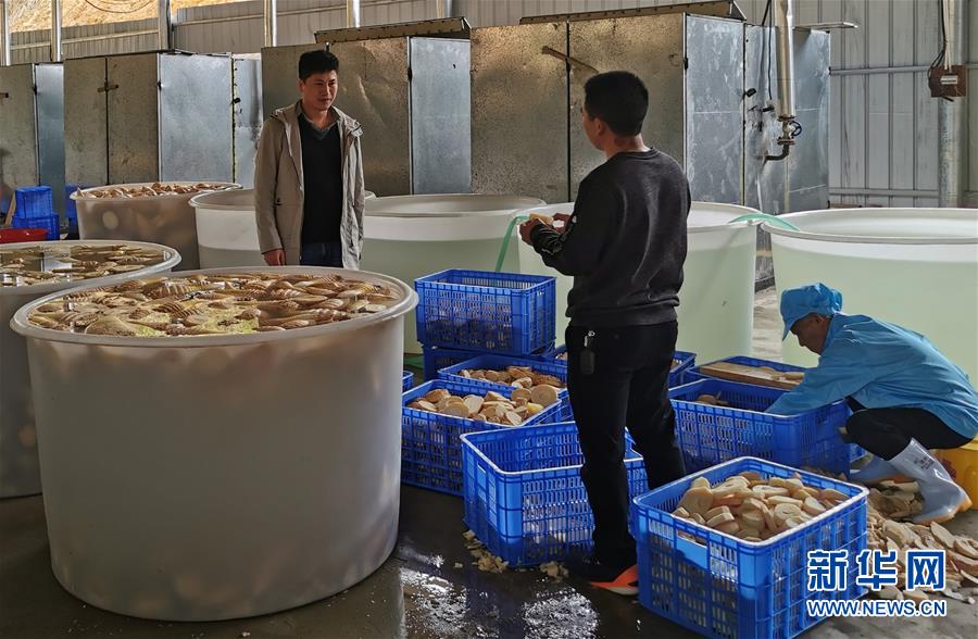 （決戰(zhàn)決勝脫貧攻堅(jiān)&middot;圖文互動(dòng)）掛牌督戰(zhàn)，一個(gè)都不能少&mdash;&mdash;江西確保剩余9.6萬貧困人口全部脫貧