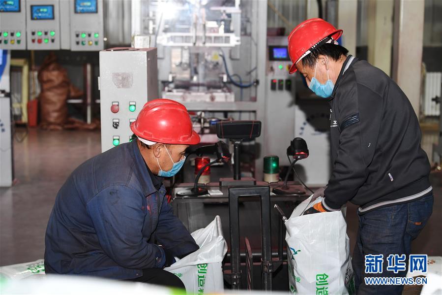 （抓好春耕備耕 穩(wěn)住農(nóng)業(yè)生產(chǎn)&middot;圖文互動）（2）走向泥土是我們的終極夢想&mdash;&mdash;一粒種子的自述