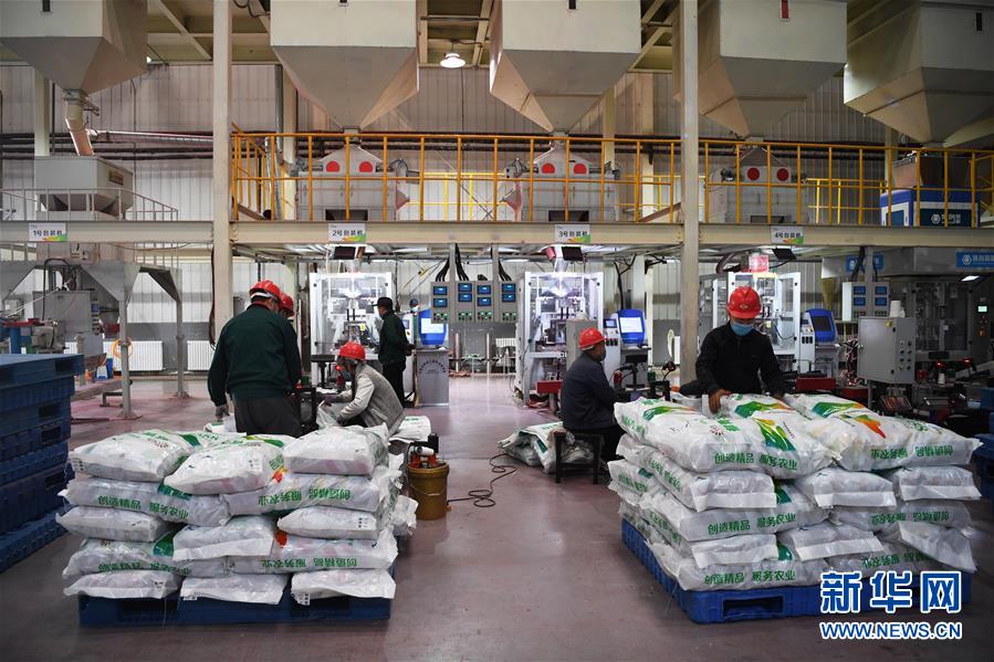 （抓好春耕備耕 穩(wěn)住農(nóng)業(yè)生產(chǎn)&middot;圖文互動）（3）走向泥土是我們的終極夢想&mdash;&mdash;一粒種子的自述