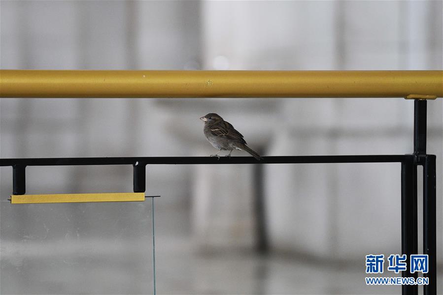 （國際疫情）（5）約翰斯&middot;霍普金斯大學(xué)：美國新冠肺炎確診病例超過14萬例