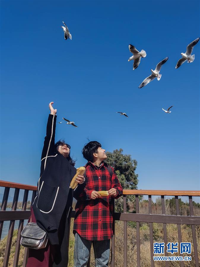 （一線抗疫群英譜&middot;圖文互動(dòng)）（1）大學(xué)生志愿者譚藝西：在武漢，我和媽媽共戰(zhàn)&ldquo;疫&rdquo;