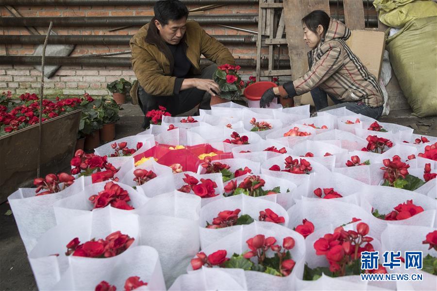 （在習(xí)近平新時(shí)代中國(guó)特色社會(huì)主義思想指引下&mdash;&mdash;新時(shí)代新作為新篇章&middot;習(xí)近平總書(shū)記關(guān)切事&middot;圖文互動(dòng)）（1）希望的田野，希望的春天&mdash;&mdash;各地農(nóng)業(yè)生產(chǎn)新動(dòng)態(tài)掃描