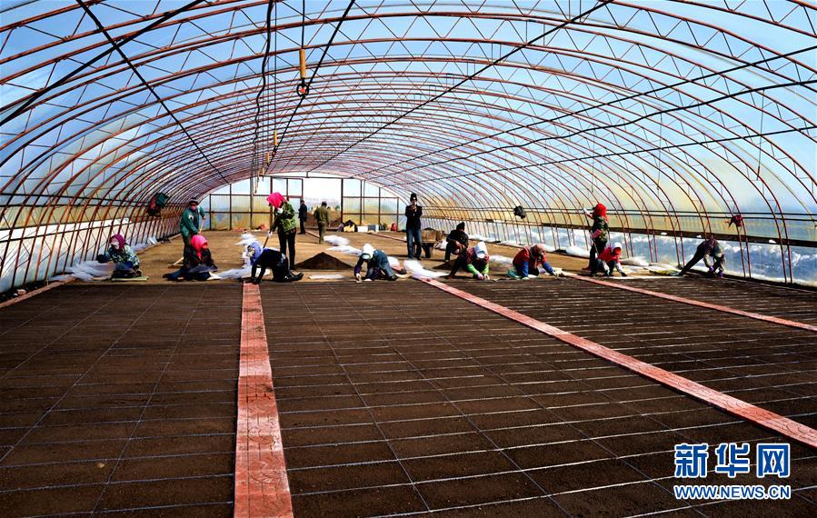 （在習(xí)近平新時(shí)代中國(guó)特色社會(huì)主義思想指引下&mdash;&mdash;新時(shí)代新作為新篇章&middot;習(xí)近平總書(shū)記關(guān)切事&middot;圖文互動(dòng)）（5）希望的田野，希望的春天&mdash;&mdash;各地農(nóng)業(yè)生產(chǎn)新動(dòng)態(tài)掃描