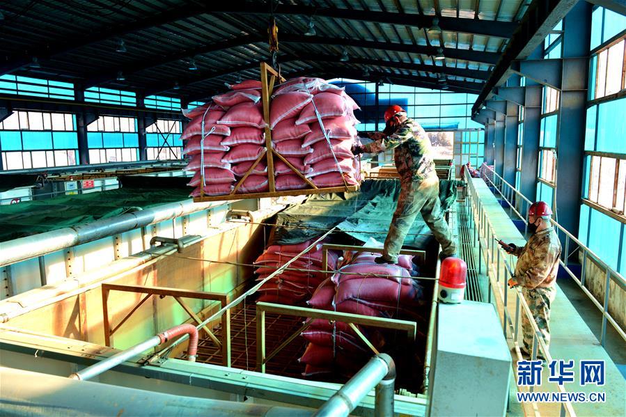 （在習(xí)近平新時(shí)代中國(guó)特色社會(huì)主義思想指引下&mdash;&mdash;新時(shí)代新作為新篇章&middot;習(xí)近平總書(shū)記關(guān)切事&middot;圖文互動(dòng)）（6）希望的田野，希望的春天&mdash;&mdash;各地農(nóng)業(yè)生產(chǎn)新動(dòng)態(tài)掃描