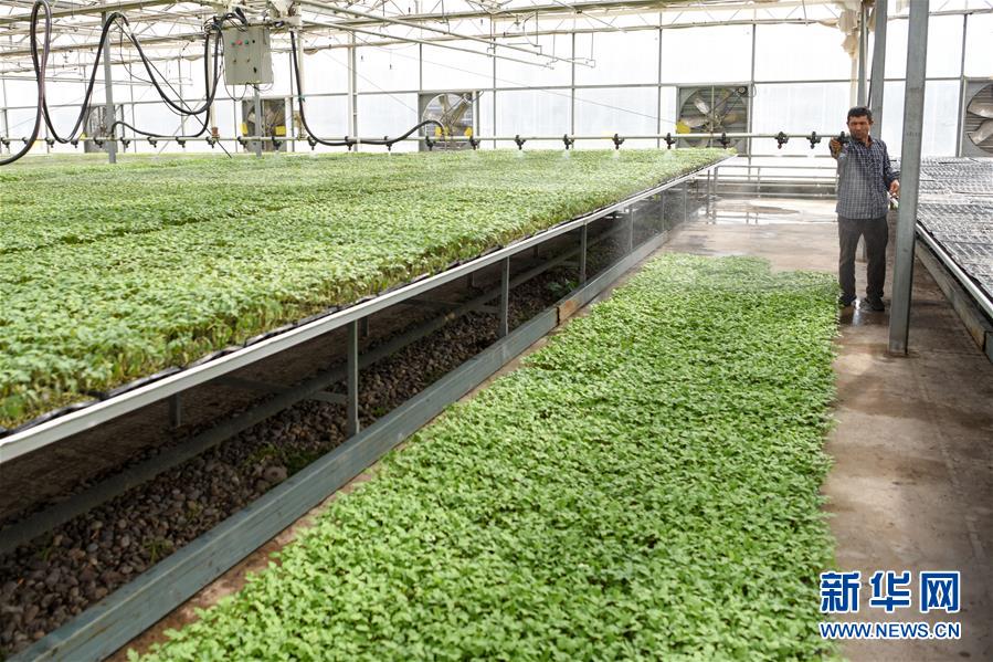 （決戰(zhàn)決勝脫貧攻堅&middot;圖文互動）（3）決戰(zhàn)昆侖&mdash;&mdash;新疆聚焦10個未摘帽縣展開深度貧困攻堅戰(zhàn) 