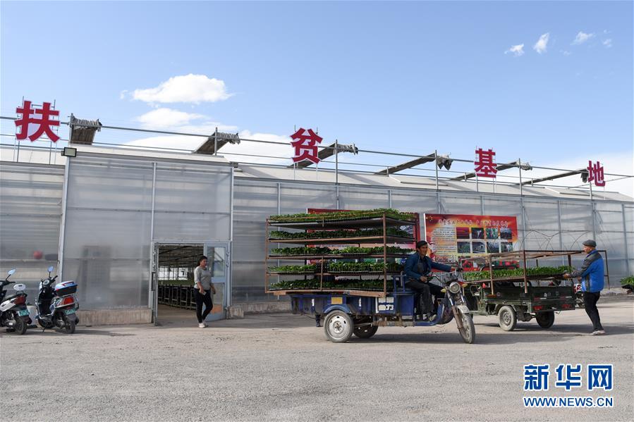 （決戰(zhàn)決勝脫貧攻堅&middot;圖文互動）（9）決戰(zhàn)昆侖&mdash;&mdash;新疆聚焦10個未摘帽縣展開深度貧困攻堅戰(zhàn) 