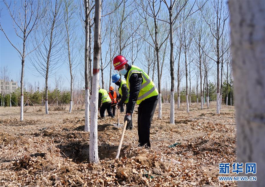 （新華全媒頭條&middot;圖文互動）（8）雄安畫卷徐徐鋪展　&ldquo;未來之城&rdquo;蓄勢待發(fā)&mdash;&mdash;雄安新區(qū)設立三周年巡禮