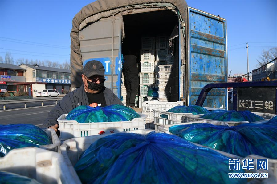 （在習近平新時代中國特色社會主義思想指引下&mdash;&mdash;新時代新作為新篇章&middot;習近平總書記關(guān)切事&middot;圖文互動）（3）抗疫之下 保供無憂