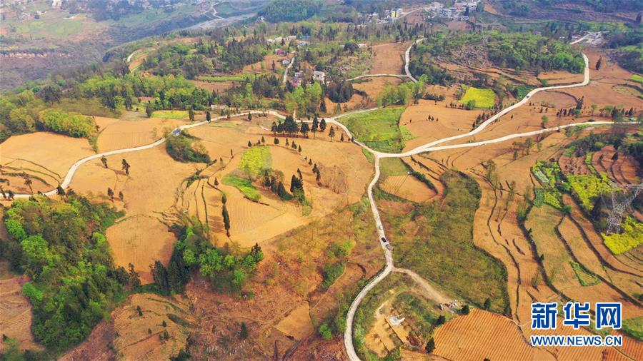 （決戰(zhàn)決勝脫貧攻堅(jiān)&middot;圖文互動）（2）寄相思，償夙愿&mdash;&mdash;5封清明&ldquo;家書&rdquo;里的決戰(zhàn)決勝信念