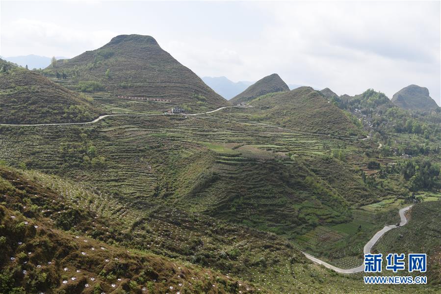 （決戰(zhàn)決勝脫貧攻堅(jiān)&middot;圖文互動(dòng)）（1）逐項(xiàng)逐戶排查補(bǔ)齊脫貧攻堅(jiān)&ldquo;短板&rdquo;&mdash;&mdash;貴州晴隆縣扶貧一線工作見聞 