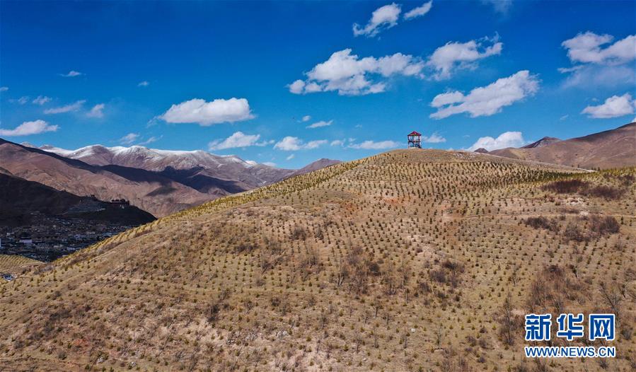 （新華全媒頭條&middot;圖文互動）（6）三江之源見證中國奇跡&mdash;&mdash;寫在玉樹地震10周年之際