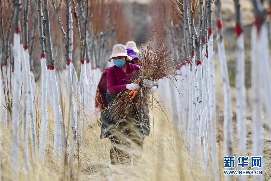 （新華全媒頭條&middot;圖文互動）（14）三江之源見證中國奇跡&mdash;&mdash;寫在玉樹地震10周年之際
