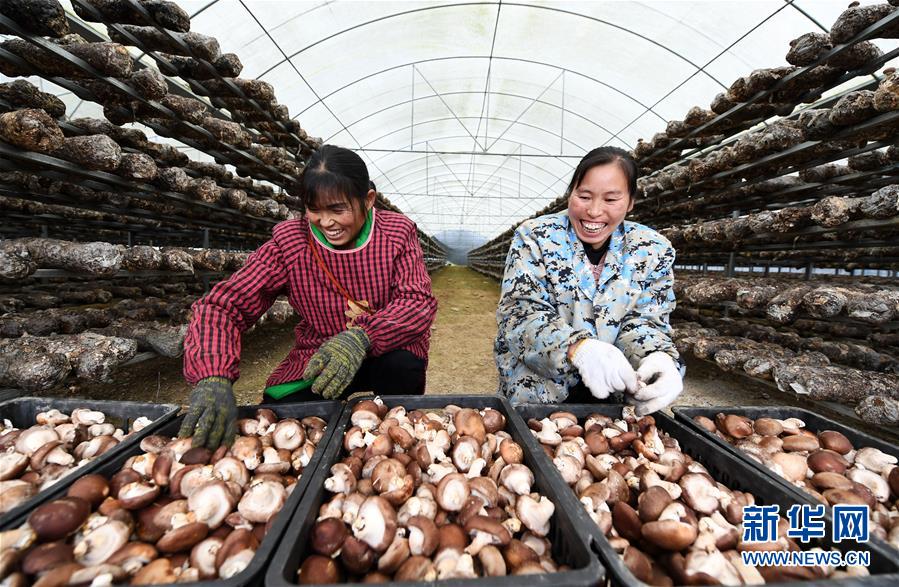 （決戰(zhàn)決勝脫貧攻堅(jiān)&middot;圖文互動(dòng)）（1）多重保障 不漏一人&mdash;&mdash;貴州一個(gè)脫貧&ldquo;摘帽&rdquo;縣的防貧機(jī)制探索