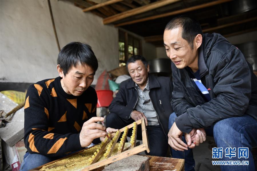 （決戰(zhàn)決勝脫貧攻堅&middot;圖文互動）（3）一位農(nóng)民的產(chǎn)業(yè)扶貧成績單 