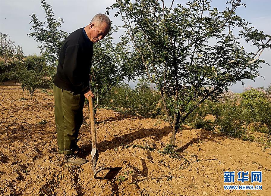 （新華全媒頭條&middot;圖文互動）（4）春天里的5個&ldquo;戰(zhàn)貧&rdquo;瞬間&mdash;&mdash;習近平總書記關(guān)于脫貧攻堅決策部署指引攻克最后的深貧堡壘