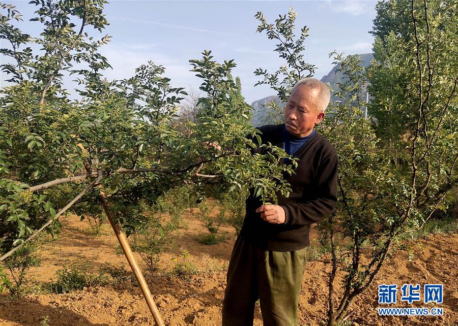 （新華全媒頭條&middot;圖文互動）（5）春天里的5個&ldquo;戰(zhàn)貧&rdquo;瞬間&mdash;&mdash;習近平總書記關(guān)于脫貧攻堅決策部署指引攻克最后的深貧堡壘