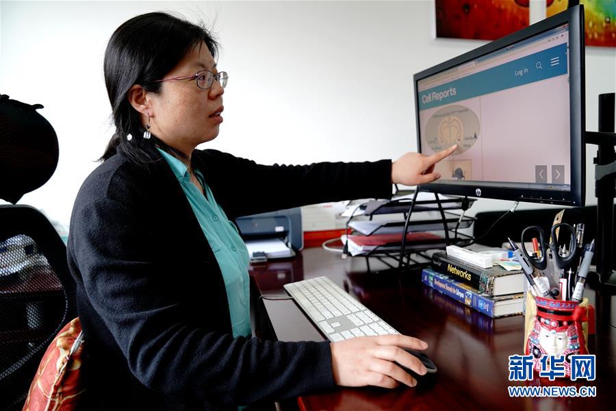 （圖文互動(dòng)）（1）攻擊行為如何被大腦控制？科學(xué)家在小鼠大腦中發(fā)現(xiàn)&ldquo;調(diào)節(jié)開(kāi)關(guān)&rdquo;