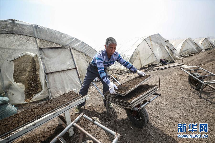 （在習(xí)近平新時(shí)代中國(guó)特色社會(huì)主義思想指引下&mdash;&mdash;新時(shí)代新作為新篇章&middot;習(xí)近平總書(shū)記關(guān)切事&middot;圖文互動(dòng)）（5）春耕忙 信心足&mdash;&mdash;谷雨時(shí)節(jié)走馬東北直擊糧事