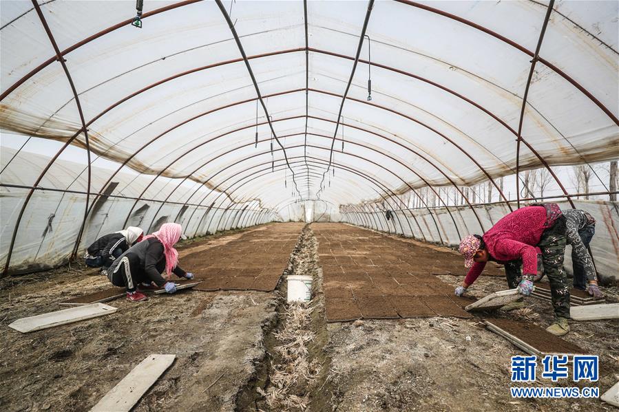 （在習(xí)近平新時(shí)代中國(guó)特色社會(huì)主義思想指引下&mdash;&mdash;新時(shí)代新作為新篇章&middot;習(xí)近平總書(shū)記關(guān)切事&middot;圖文互動(dòng)）（6）春耕忙 信心足&mdash;&mdash;谷雨時(shí)節(jié)走馬東北直擊糧事