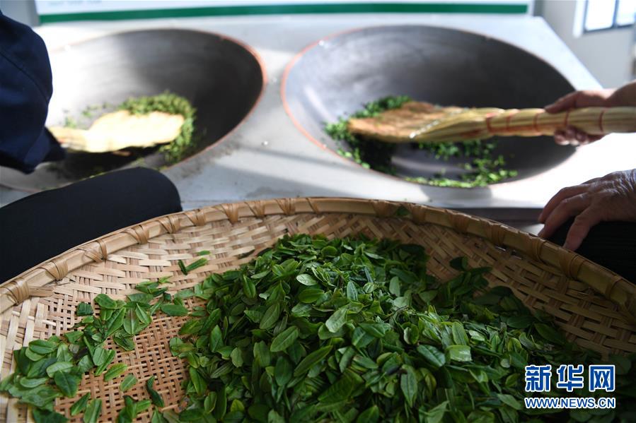 （新華全媒頭條&middot;圖文互動）（9）紅土地上的&ldquo;綠色減貧&rdquo;決戰(zhàn)&mdash;&mdash;大別山&ldquo;將軍縣&rdquo;金寨脫貧紀(jì)實(shí)