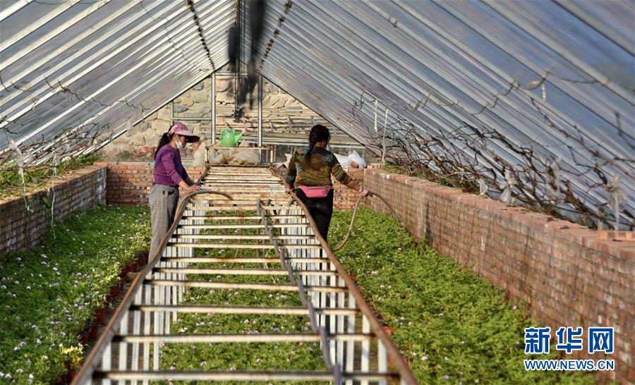 （圖文互動）（2）這座小城，鐫刻下怎樣的&ldquo;世園印記&rdquo;&mdash;&mdash;北京世園會開園一周年探訪延慶