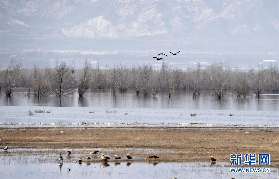 （圖文互動）（3）這座小城，鐫刻下怎樣的&ldquo;世園印記&rdquo;&mdash;&mdash;北京世園會開園一周年探訪延慶