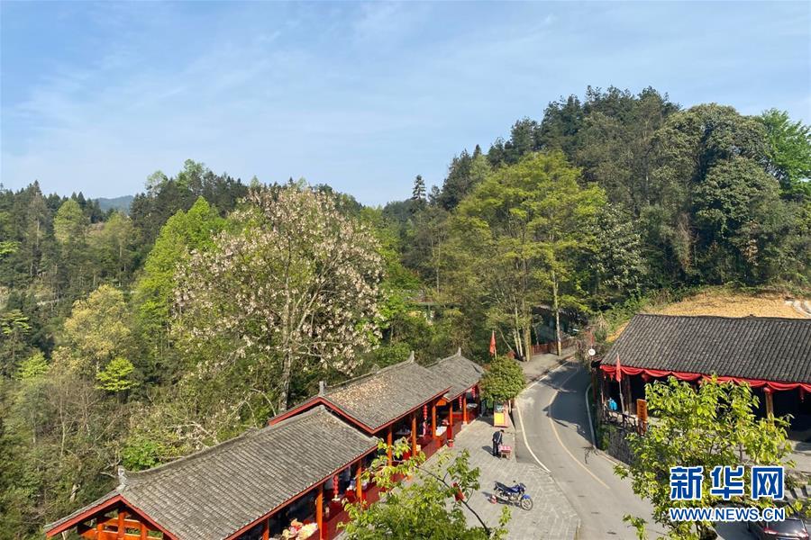 （決戰(zhàn)決勝脫貧攻堅&middot;圖文互動）（1）深山苗寨的別樣春天&mdash;&mdash;疫情下的十八洞村見聞