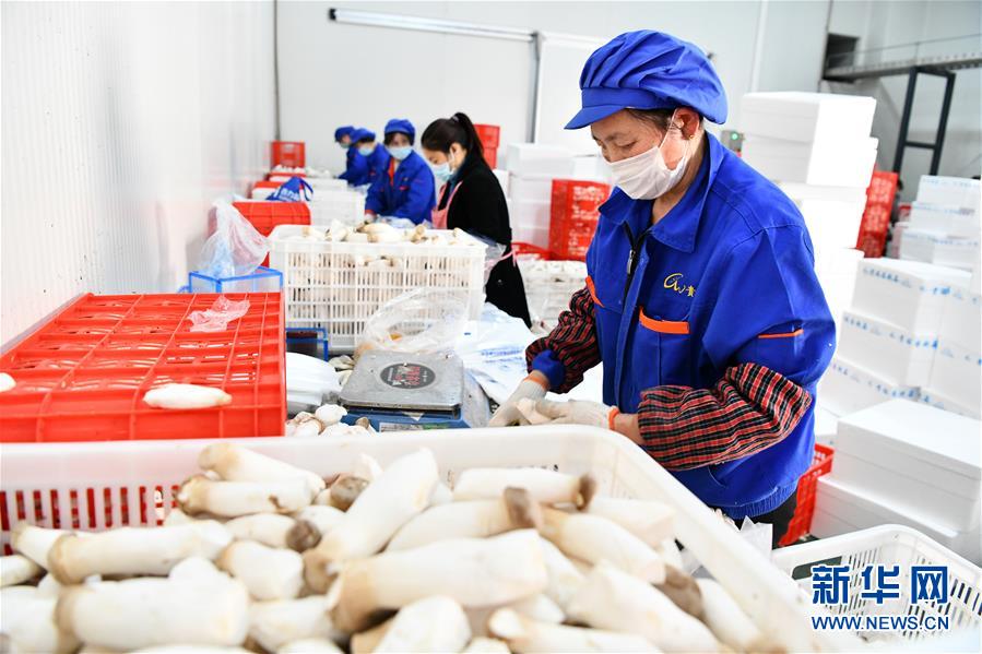 （決戰(zhàn)決勝脫貧攻堅&middot;圖文互動）（2）補短板 促就業(yè) 穩(wěn)增收&mdash;&mdash;貴州向脫貧&ldquo;硬骨頭&rdquo;發(fā)起總攻