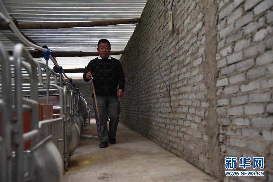 （新華全媒頭條&middot;圖文互動(dòng)）（6）刺梨花開(kāi)滿山紅&mdash;&mdash;記在貴州脫貧攻堅(jiān)一線奮斗的殘疾人