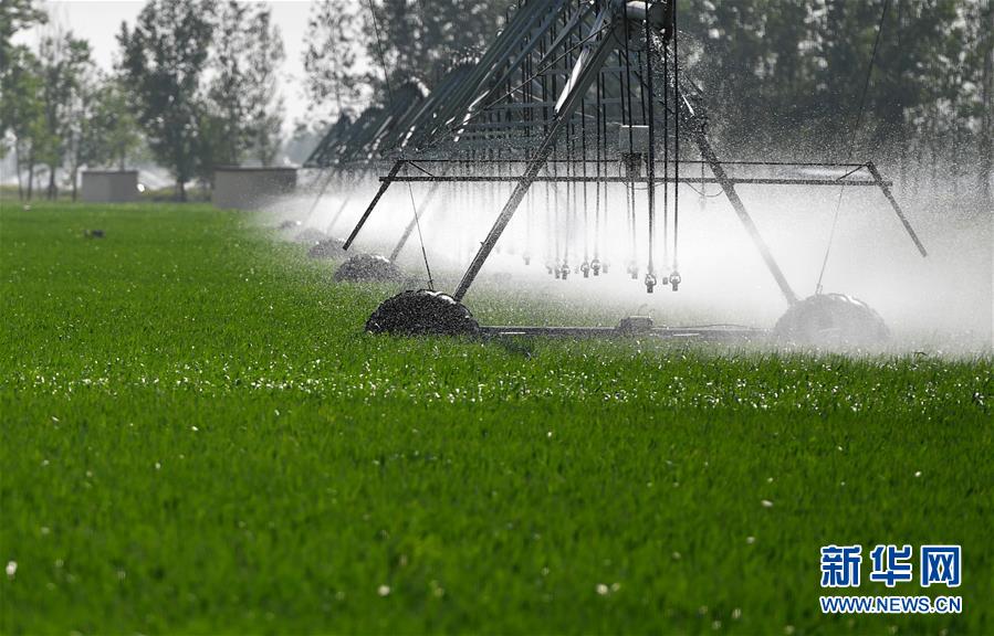 （在習(xí)近平新時代中國特色社會主義思想指引下&mdash;&mdash;新時代新作為新篇章&middot;習(xí)近平總書記關(guān)切事&middot;圖文互動）（3）新農(nóng)事、新希望&mdash;&mdash;夏收前田間新動態(tài)掃描