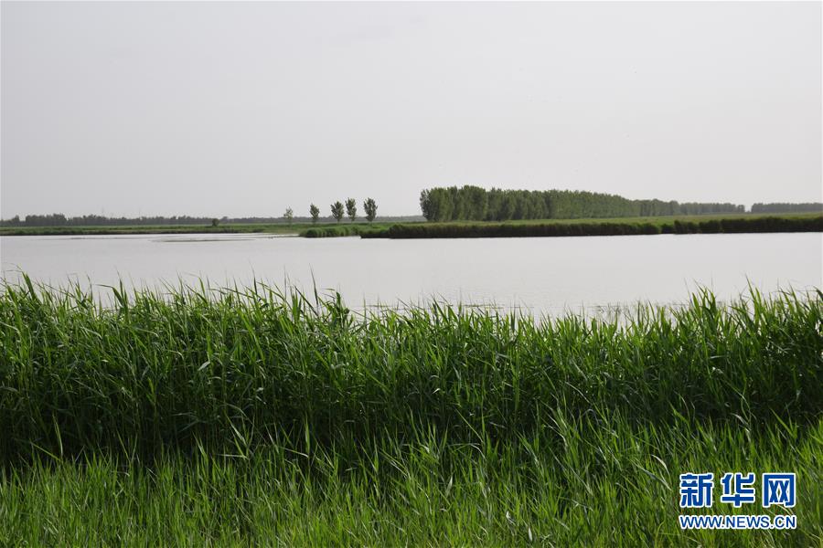 （圖文互動）（2）巡護(hù)員鏡頭下的&ldquo;京津綠肺&rdquo;變身記