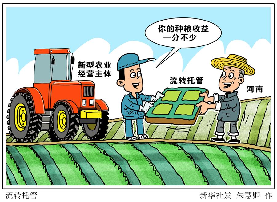 （圖表&middot;漫畫）［關(guān)注三夏］流轉(zhuǎn)托管