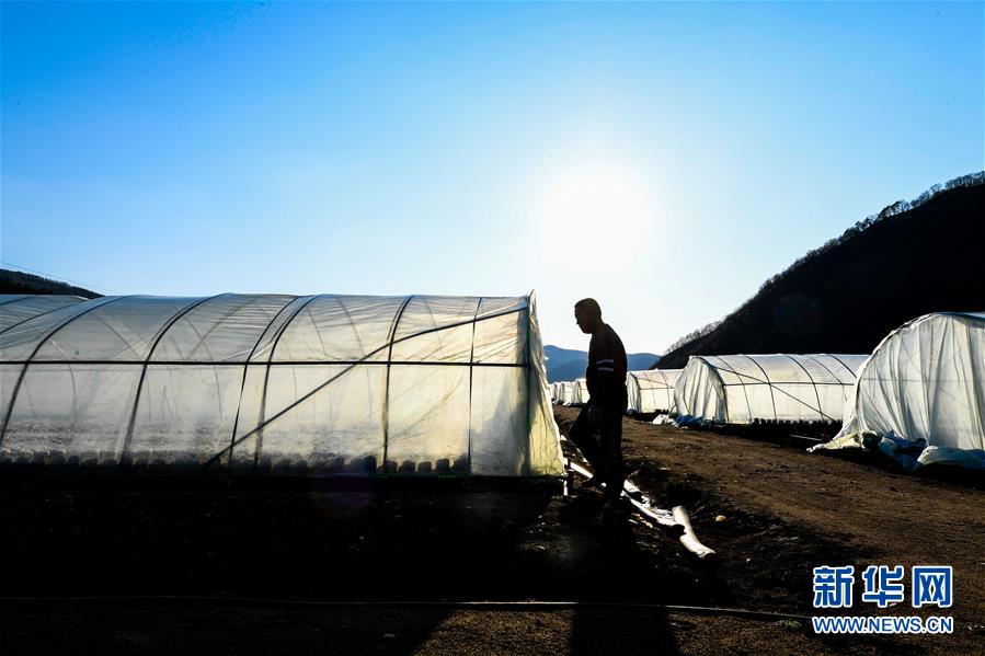 （決戰(zhàn)決勝脫貧攻堅(jiān)&middot;圖文互動(dòng)）（10）長(zhǎng)白山下唱新篇&mdash;&mdash;吉林延邊州脫貧攻堅(jiān)觀察