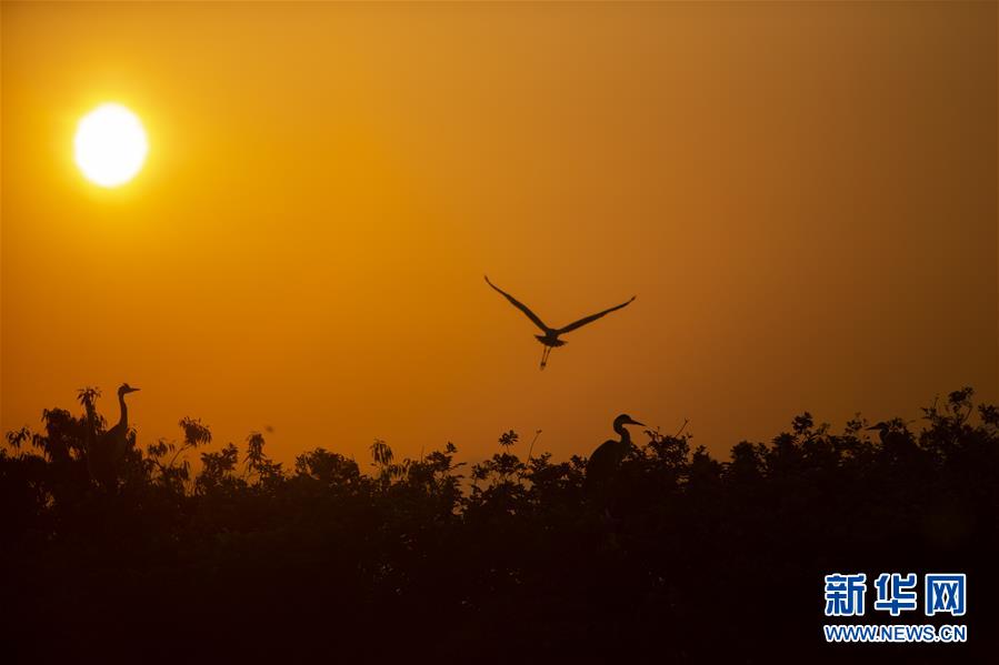 （新華全媒頭條&middot;圖文互動(dòng)）（1）大湖新歌&mdash;&mdash;我國兩大淡水湖全面生態(tài)修復(fù)進(jìn)行時(shí)