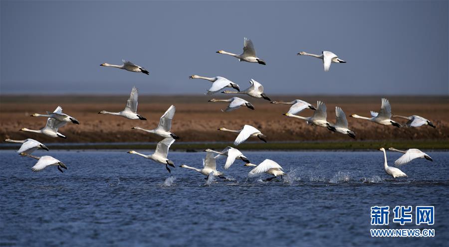（新華全媒頭條&middot;圖文互動(dòng)）（10）大湖新歌&mdash;&mdash;我國兩大淡水湖全面生態(tài)修復(fù)進(jìn)行時(shí)