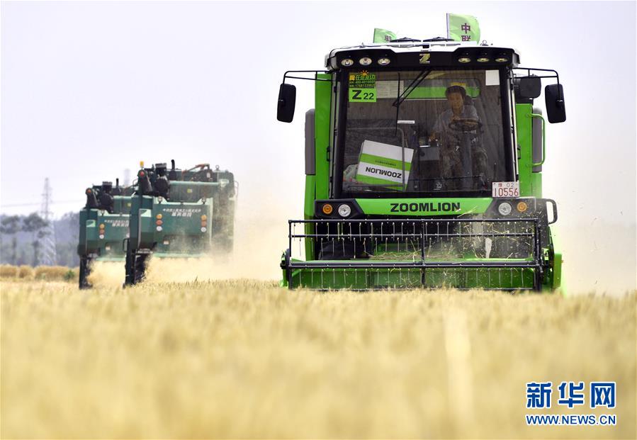 （在習(xí)近平新時(shí)代中國特色社會主義思想指引下&mdash;&mdash;新時(shí)代新作為新篇章&middot;習(xí)近平總書記關(guān)切事&middot;圖文互動）（12）讓農(nóng)民挑上&ldquo;金扁擔(dān)&rdquo;&mdash;&mdash;農(nóng)業(yè)現(xiàn)代化的生動實(shí)踐掃描