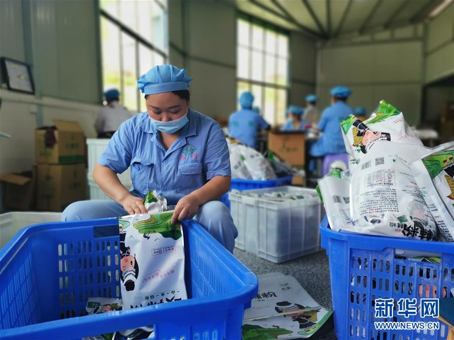 （決戰(zhàn)決勝脫貧攻堅(jiān)&middot;圖文互動(dòng)）（2）貴州思南：發(fā)展&ldquo;紅薯經(jīng)濟(jì)&rdquo;助脫貧