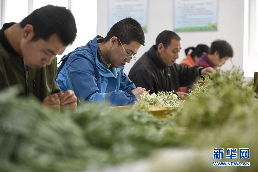 （在習近平新時代中國特色社會主義思想指引下&mdash;&mdash;新時代新作為新篇章&middot;習近平總書記關切事&middot;圖文互動）（5）六盤山下的誓言&mdash;&mdash;來自寧夏的脫貧故事