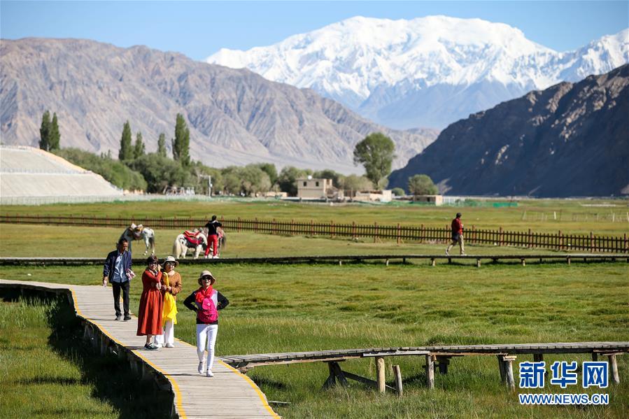 （新華全媒頭條&middot;圖文互動(dòng)）（15）飛吧，&ldquo;帕米爾雄鷹&rdquo;！