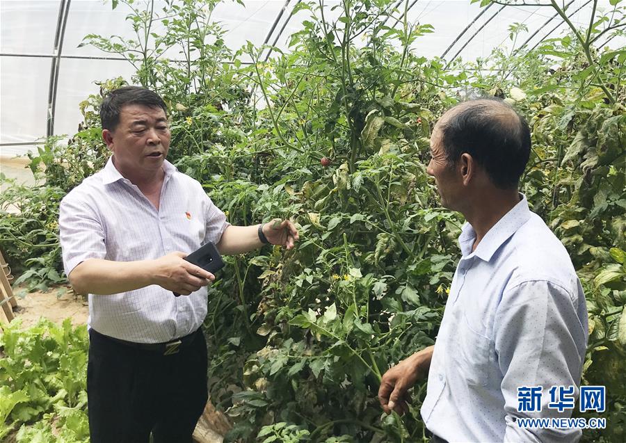 （決戰(zhàn)決勝脫貧攻堅(jiān)&middot;圖文互動(dòng)）（2）魚漁兼授 志智雙扶&mdash;&mdash;窮溝溝&ldquo;菜富記&rdquo;