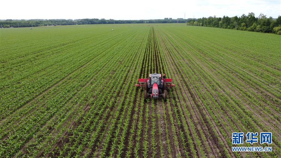 （在習(xí)近平新時(shí)代中國特色社會(huì)主義思想指引下&mdash;&mdash;新時(shí)代新作為新篇章&middot;習(xí)近平總書記關(guān)切事&middot;圖文互動(dòng)）（5）讓每一寸耕地都成為豐收的沃土&mdash;&mdash;我國加強(qiáng)耕地保護(hù)推進(jìn)&ldquo;藏糧于地&rdquo;