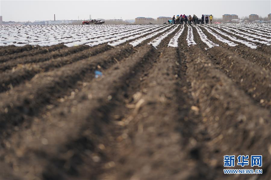(在習(xí)近平新時代中國特色社會主義思想指引下——新時代新作為新篇章·習(xí)近平總書記關(guān)切事·圖文互動)(3)讓每一寸耕地都成為豐收的沃土——我國加強耕地保護推進“藏糧于地”