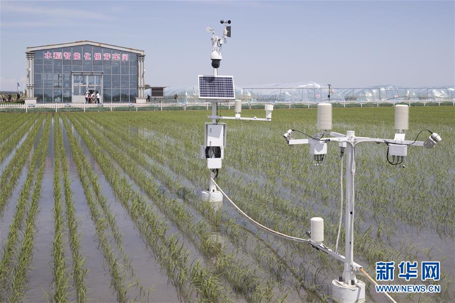 （走向我們的小康生活&middot;圖文互動(dòng)）（4）端牢&ldquo;中國(guó)飯碗&rdquo; 播種綠色小康