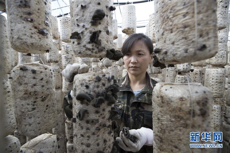 （新華全媒頭條&middot;走向我們的小康生活&middot;圖文互動）（15）迎著東升的紅日&mdash;&mdash;走向小康之路的赫哲族