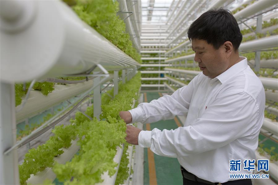 （新華全媒頭條&middot;圖文互動(dòng)）（1）十任&ldquo;支書(shū)&rdquo;一個(gè)夢(mèng)