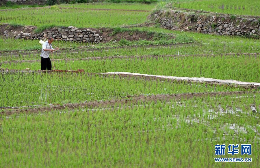 （新華全媒頭條&middot;走向我們的小康生活&middot;圖文互動）（11）大山深處有&ldquo;新家&rdquo;&mdash;&mdash;大別山村繪出現(xiàn)代版&ldquo;富春山居圖&rdquo;