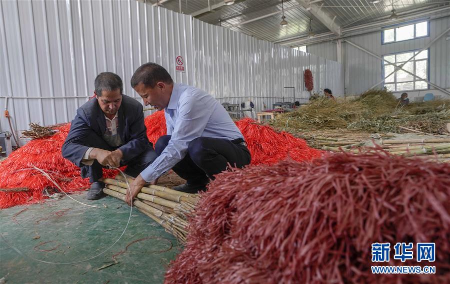 （決戰(zhàn)決勝脫貧攻堅&middot;圖文互動）（6）&ldquo;掃&rdquo;出脫貧路：南疆深貧村巧變&ldquo;創(chuàng)業(yè)村&rdquo;