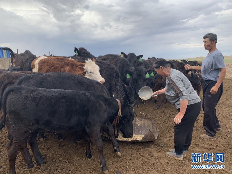 （圖文互動(dòng)）（2）跨越百余公里的&ldquo;上門放貸&rdquo;